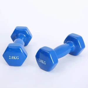 Aerobic Dumbbell Pair 2kg x 2 (4kg Total)